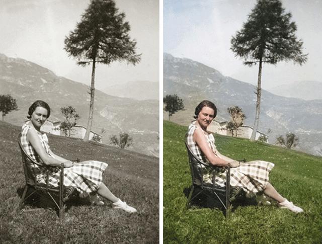 Produktbild Adobe Photoshop & Premiere Elements 2020 (1 User, unbegrenzt)