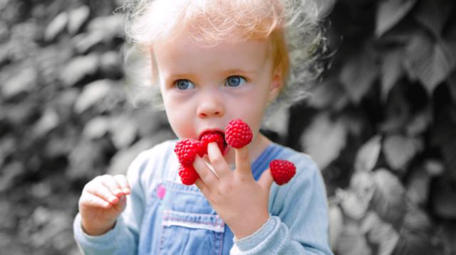 Produktbild Adobe Photoshop Elements 2020 (1 User)