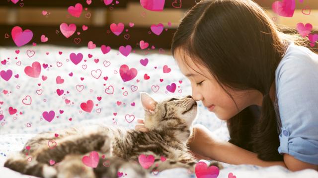 Produktbild Adobe Photoshop Elements 2020 (1 User)