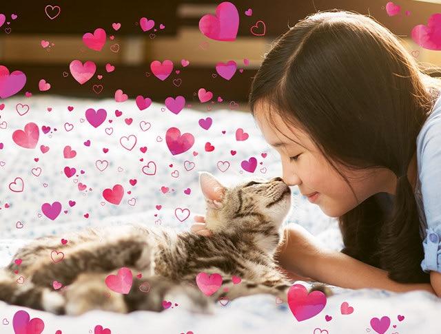 Produktbild Adobe Photoshop & Premiere Elements 2020 (1 User)