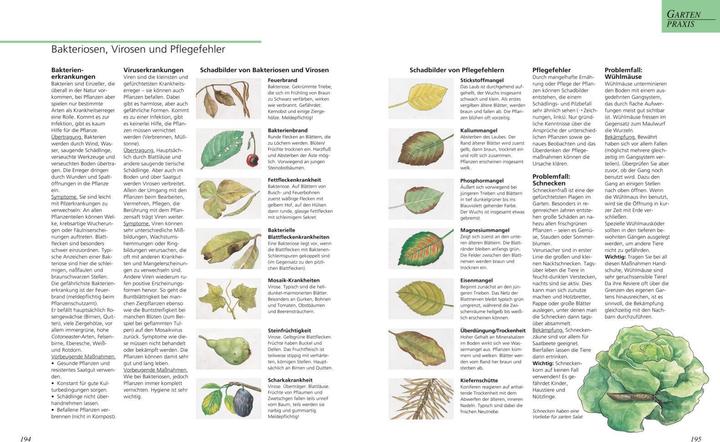 Actual product image Das grosse Gartenbuch (German, Jürgen Becker, 2016)