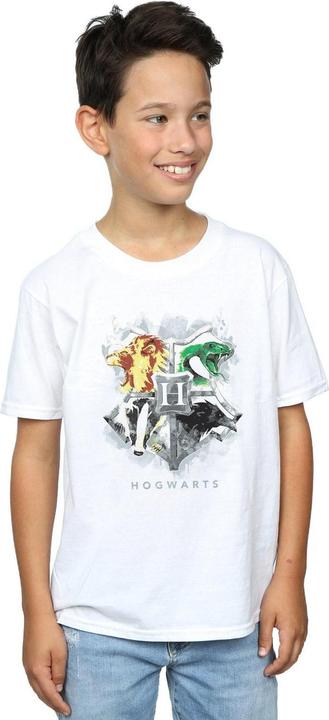 Actual product image Boys Hogwarts Painted Crest T-Shirt (140, 146)