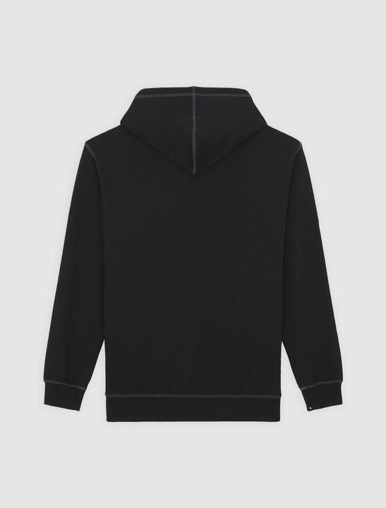 Produktbild Dickies Roy Hoodie Black (XL)