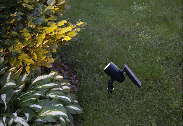 Produktbild Star Trading Solar Powerspot (50 lm, IP44)