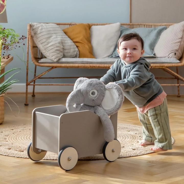 Produktbild Sebra Lauflernwagen