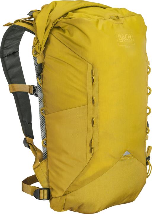 Bach Higgs 15 (15 l)