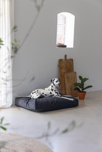 Actual product image Designed by Lotte Ribbed Cushion (Dog)