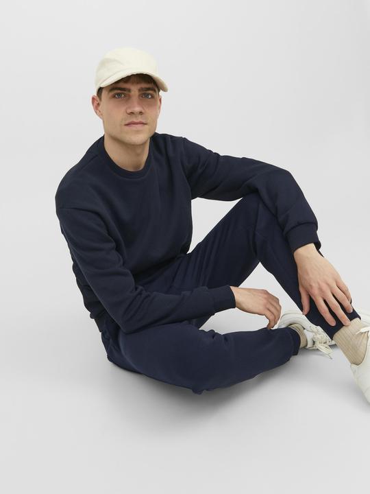 Actual product image Jack & Jones Gordon Bradley Sweatpants (M)