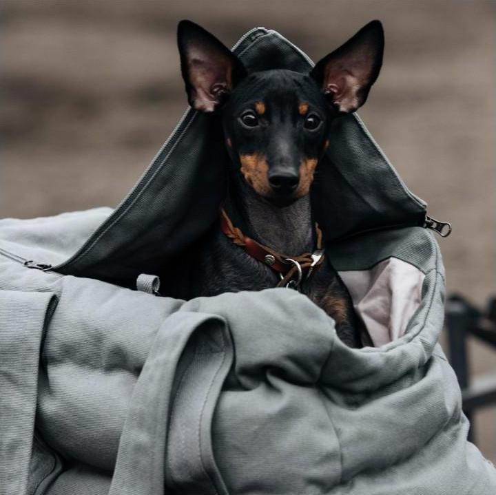 Produktbild Cloud 7 Hundetragtasche Bergamo (Hund)