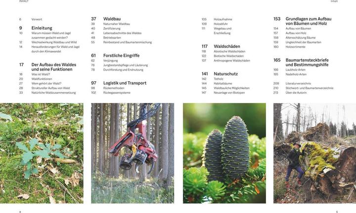 Produktbild Waldbau für Jäger (Deutsch, Beatrice Jäger, 2023)