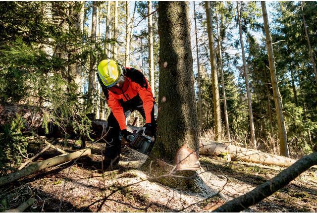 Productafbeelding Metabo MS 36-18 LTX BL 40 (Accu kettingzaag)