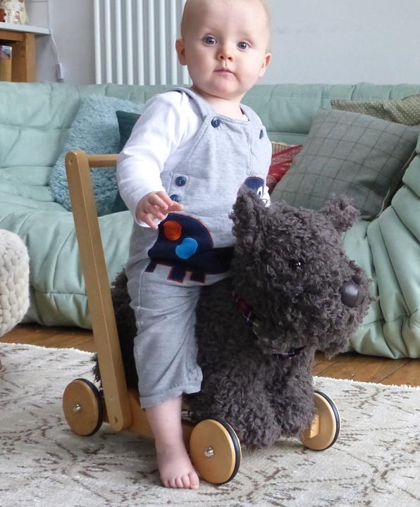 Actual product image little bird told me Scottie Dog Push Along