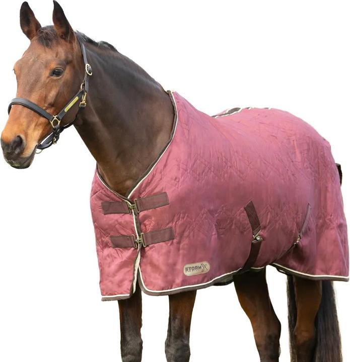 Actual product image Storm X Empra Standard-Neck Horse Show Rug (190.50 cm)