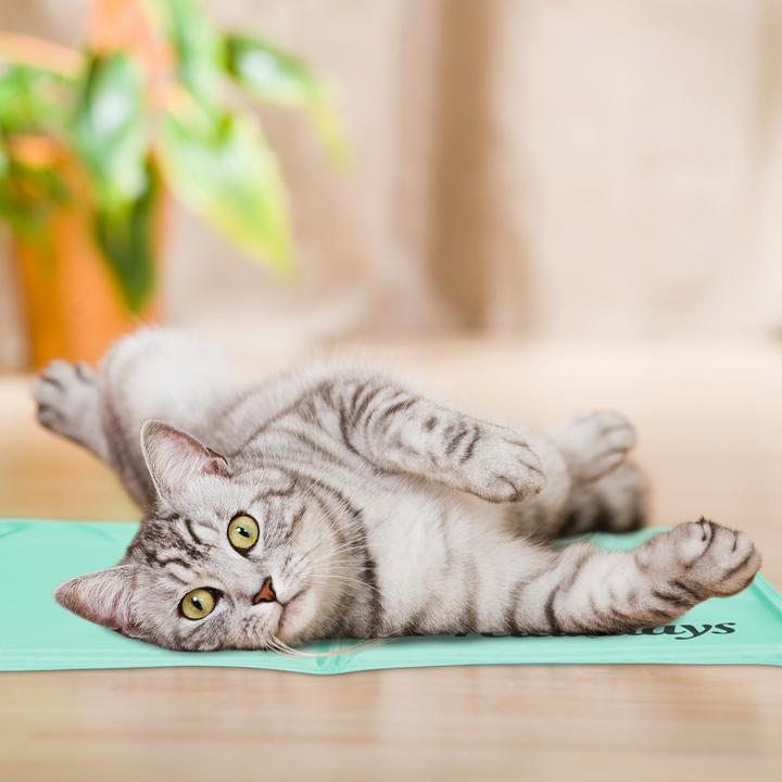 Immagine prodotto Relaxdays Tappeto di raffreddamento per cani (Cane)