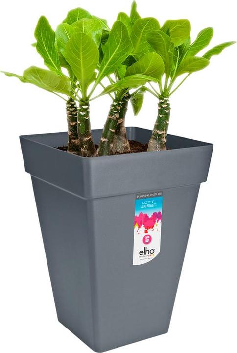 Produktbild Elho Loft Urban Eckig Hoch (37 cm)
