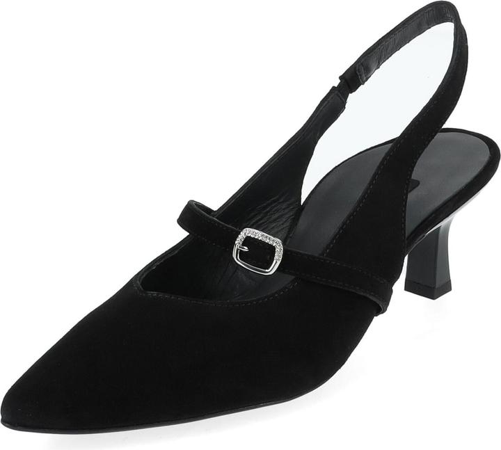 Black velvet goat 005