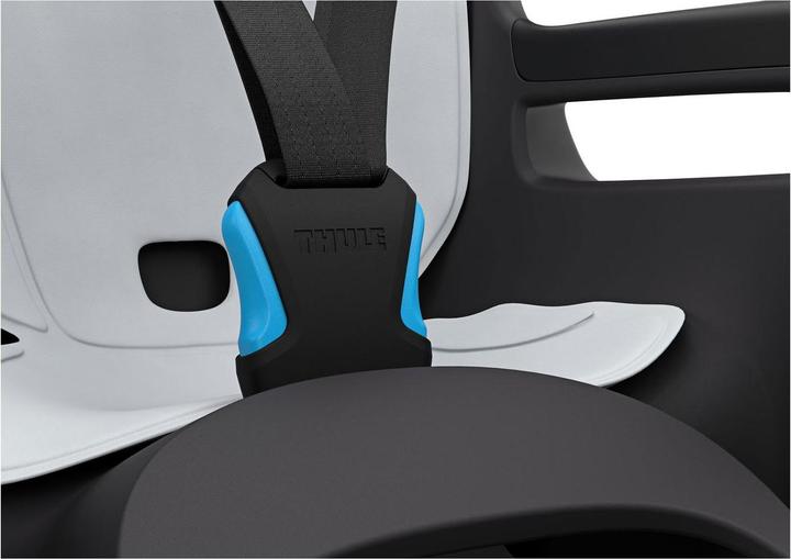 Produktbild Thule Ride Along 2 Rack Mount - Dark Grey (Gepäckträger)