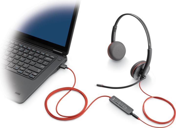 Actual product image Poly Blackwire 3225 (Cable, USB-A)