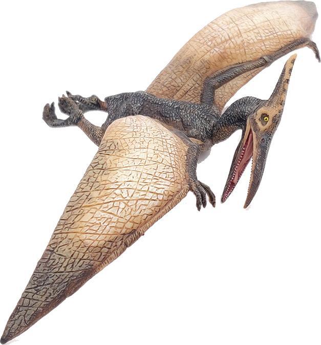 Image du produit Papo Pteranodon