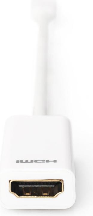 Produktbild Digitus Mini DP zu (Mini DP, HDMI, 15 cm)