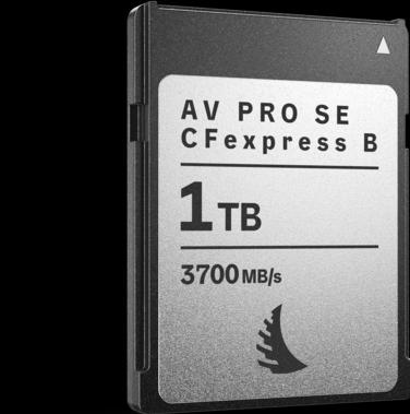 Angelbird AV PRO SE CFexpress B v4 MK2 1 TB (1000 GB, CFexpress type B)