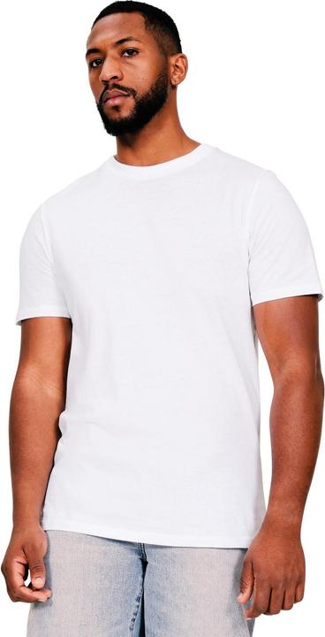 Image du produit Universal Textiles - T-shirt - Homme (XL)
