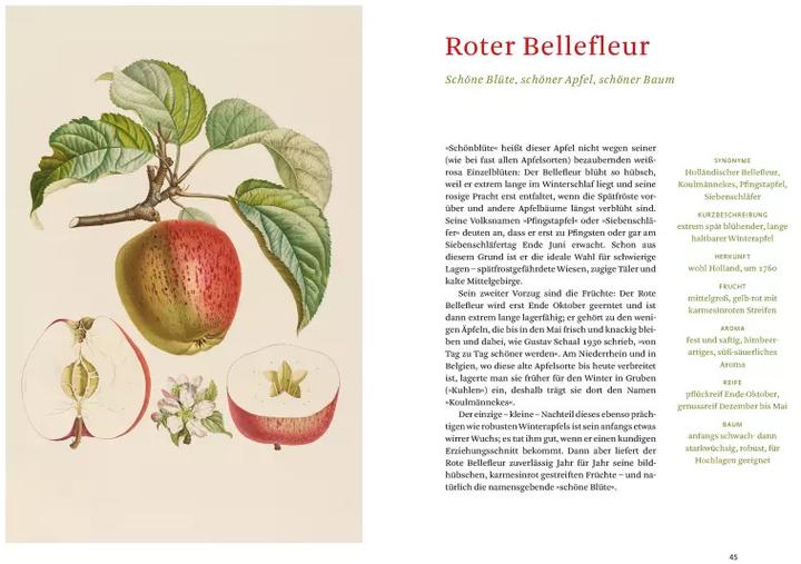 Image du produit Die alten Obstsorten (Allemand, Aveugle Sofia, Bibliothèque d'État de Berlin, 2020)