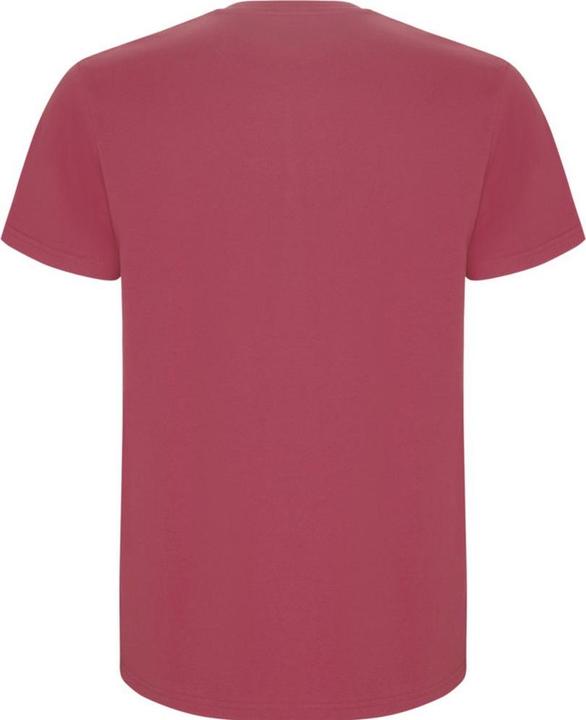 Image du produit Alpinia - T-shirt STAFFORD - Homme (L)