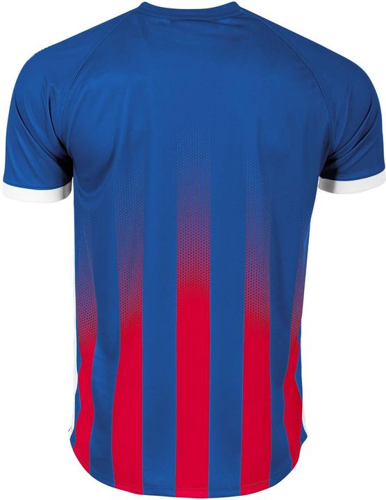 Actual product image Stanno Vivid jersey (L)