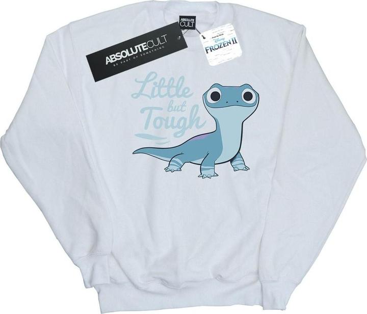 Actual product image Disney Mens Frozen 2 Salamander Bruni Tough Sweatshirt (L)