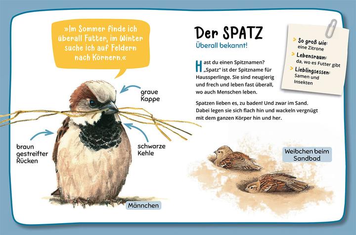 Immagine prodotto Kosmos Mein erster Naturführer, Was fliegt denn da? (Tedesco, Lea Hille, 2023)