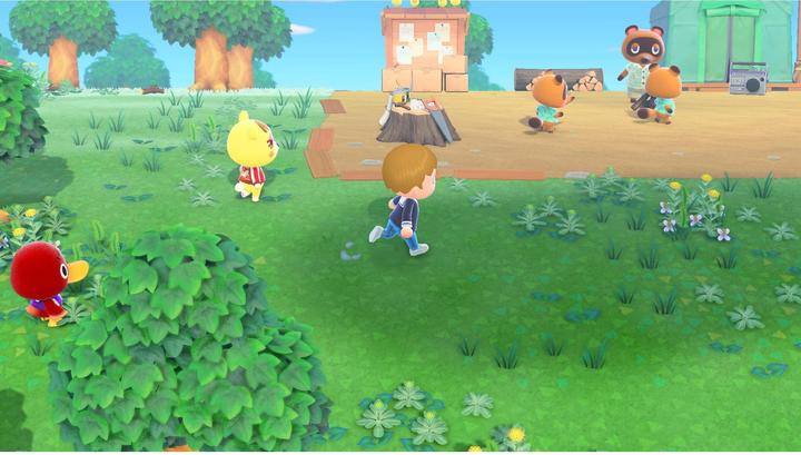 Actual product image Nintendo Animal Crossing: New Horizons (Switch, Multilingual)