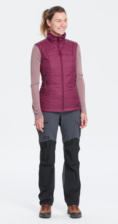 Image du produit Forclaz TREK100 (XXL)