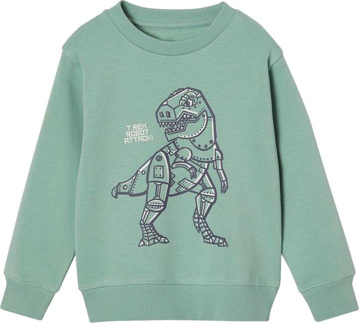 Produktbild Vertbaudet Jungen Sweatshirt BASIC mit Print und Recycling-Polyester (158)