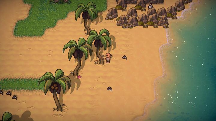 Actual product image Plaion The Survivalists (PS4, EN)