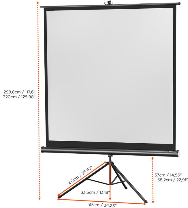 Immagine prodotto Celexon Treppiede Eco, schermo, 1:1 (135.83", 1:1)