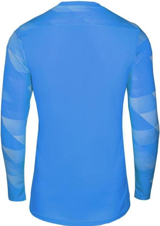 Actual product image Nike Park Iv Tw Jersey Long Sleeve (S)