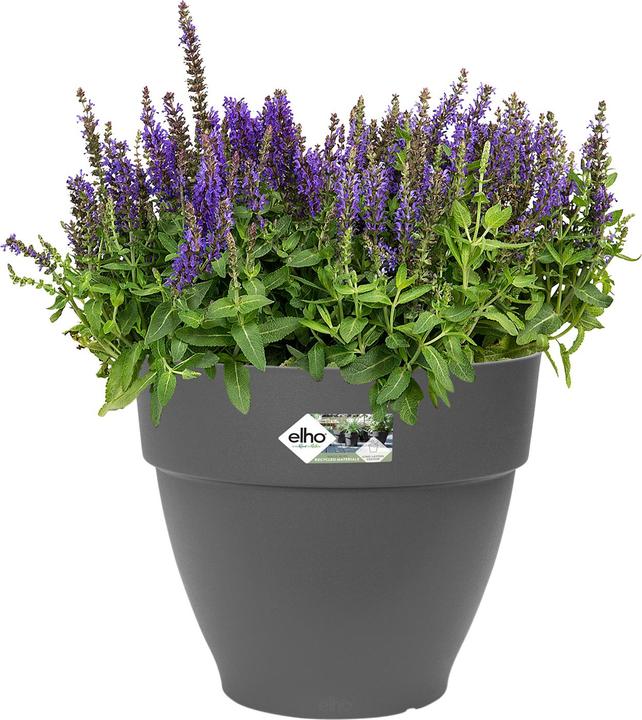 Produktbild Elho Vibia Campana (34.50 cm)