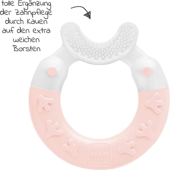 Actual product image MAM Beissringe & Zahnungshilfen Beissring Bite & Brush - Rosa