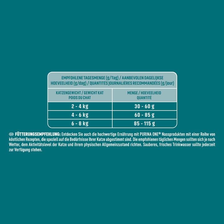 Actual product image Purina ONE Salmon and Wholemeal (Adult, 1 pcs., 3000 g)