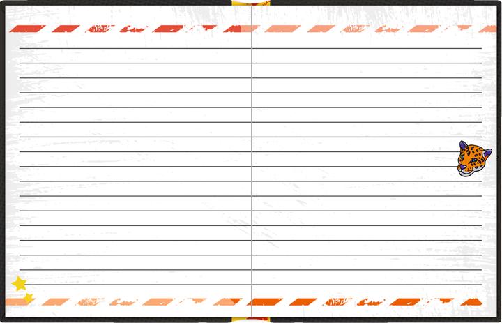 Immagine prodotto Diario: STOP - Top Secret (15 x 19 cm, Tedesco)