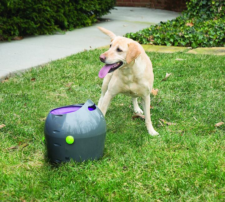 Produktbild PetSafe Ballwerfer (Ballspielzeug Hund)