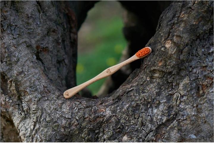 Produktbild Liebwerk Holzzahnbürste Kids Fox (Weich, 1 x)