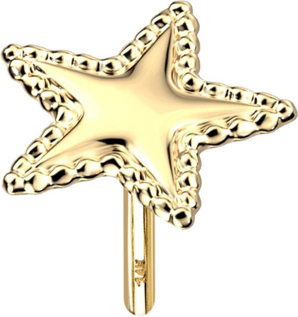 Actual product image Star Piercing Threadless 14k gold star with ball rim (14k gold, without brass)