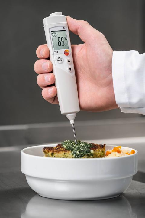 Actual product image Testo 106