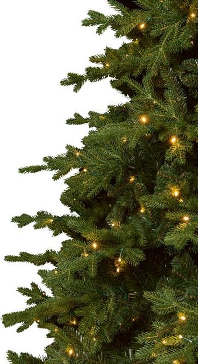 Immagine prodotto STT Albero (220 cm)