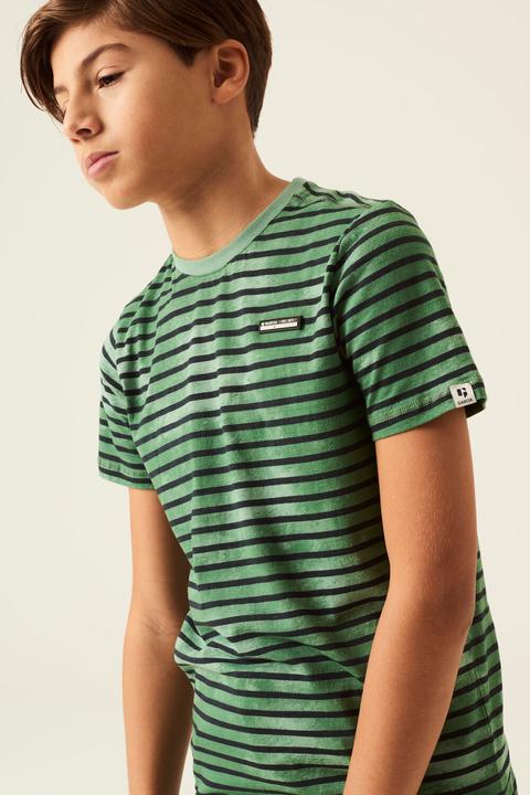 Actual product image Garcia Green Striped T Shirt (152)