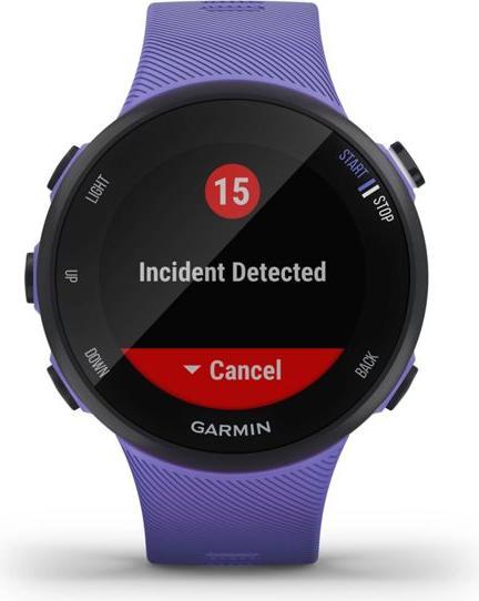Immagine prodotto Garmin Forerunner 45S (39.50 mm)