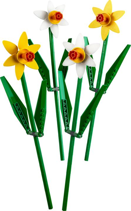 Immagine prodotto LEGO Collezione botanica - Narcisi (40646, LEGO Icons, Set LEGO rari)