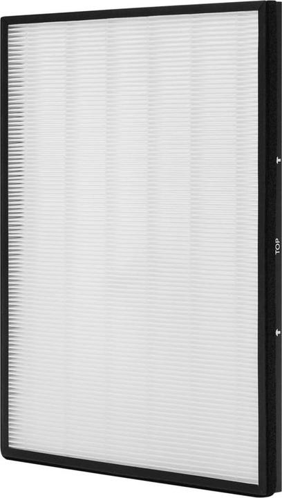 AEG Zubehör AFWCAR3 CARE Ultimativer Schutzfilter für AX5 & AX7 (1 x)